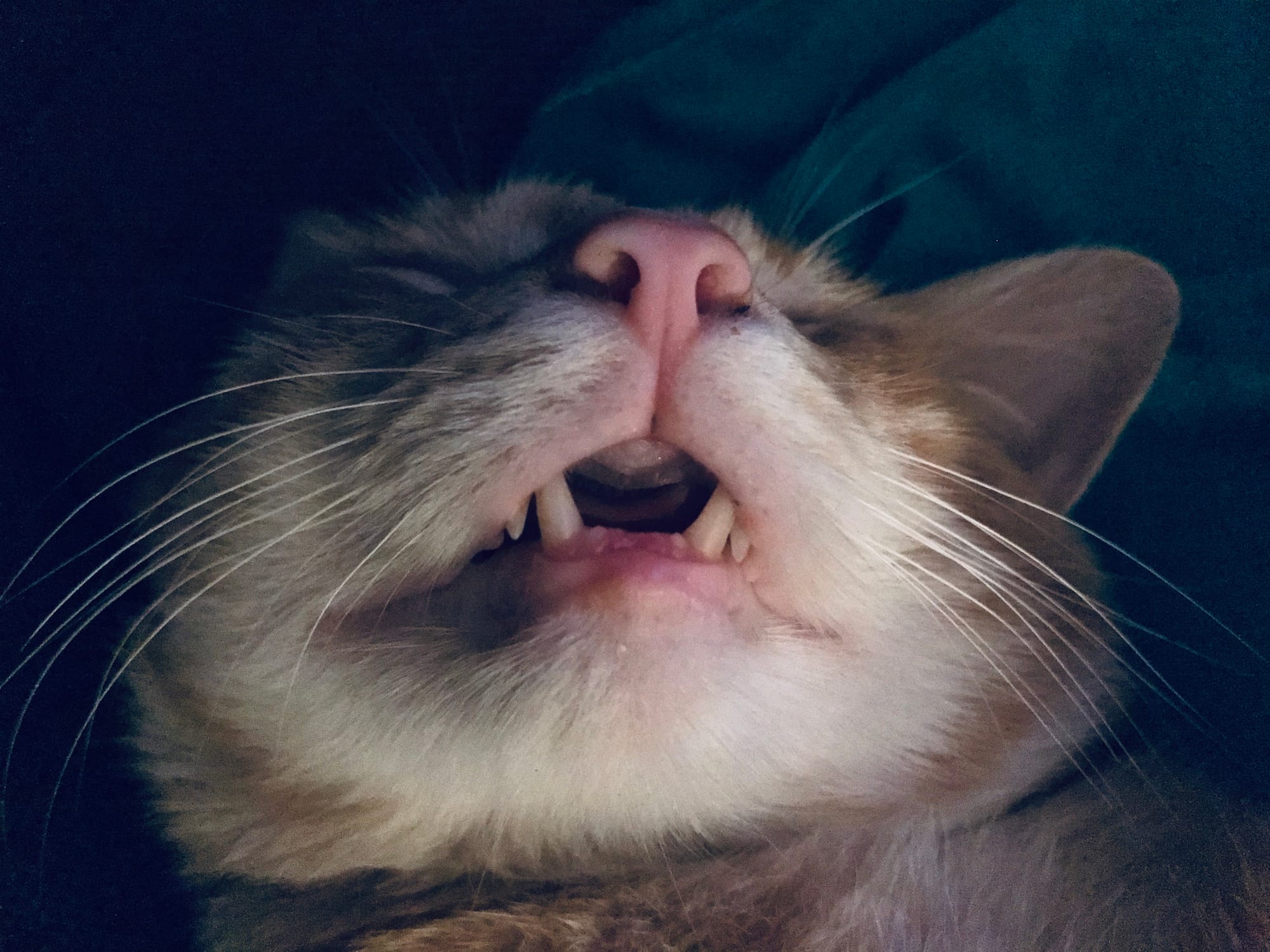 Deepy sleepy Washy