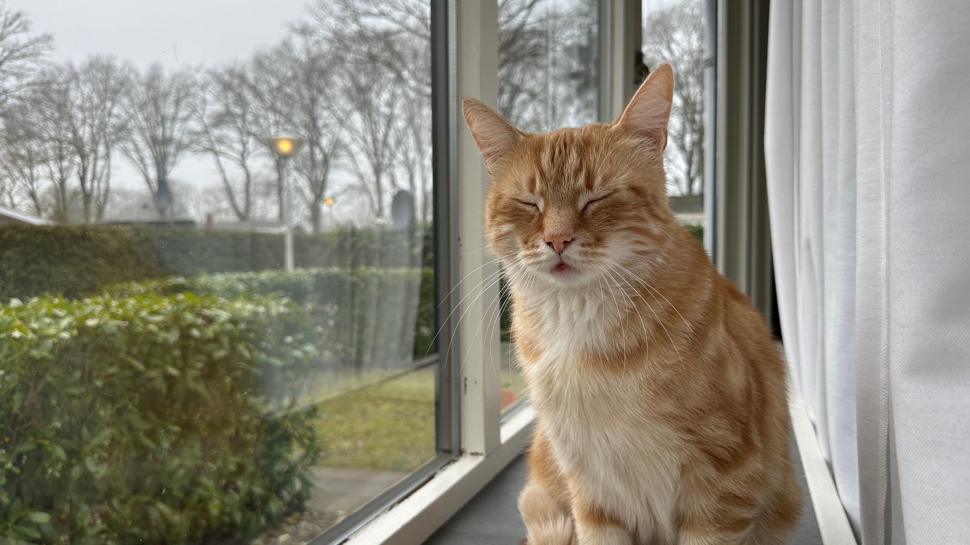 Washy on watch