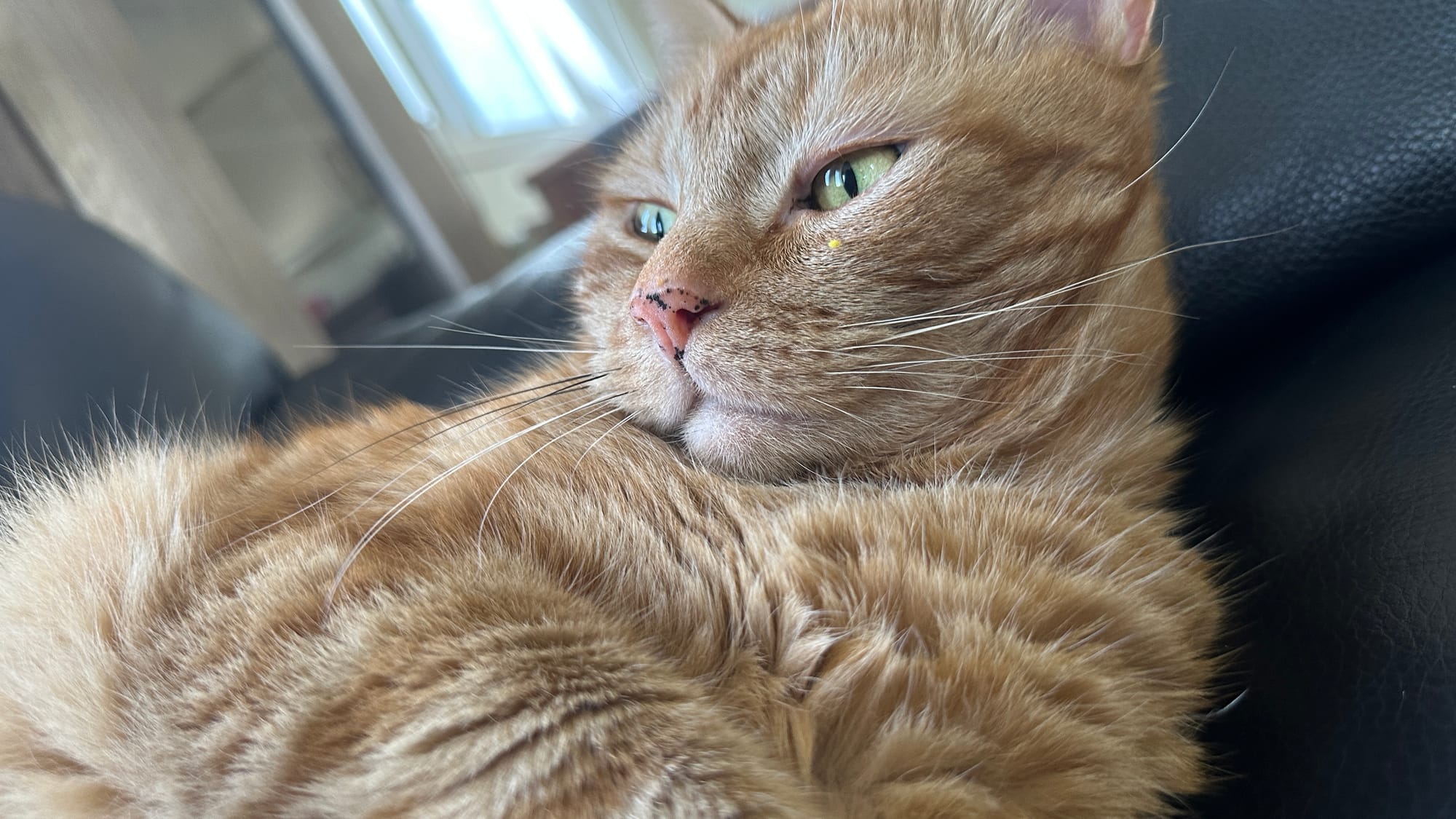 What did you say there?