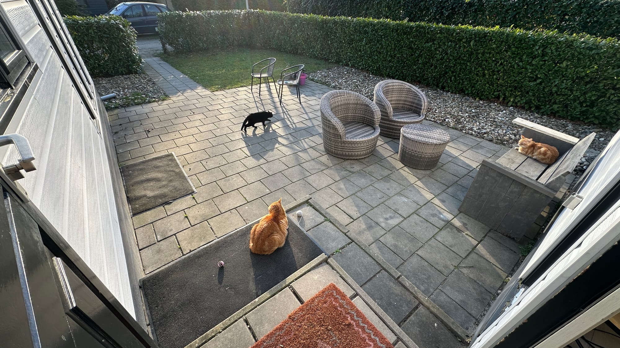 Meeting the neighbors