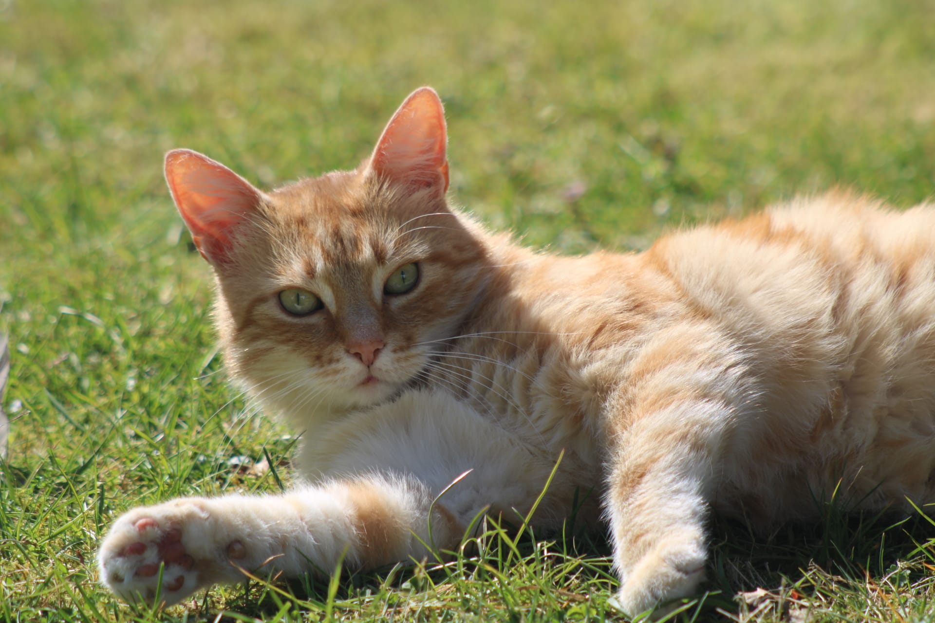 Playing around outside in the sun