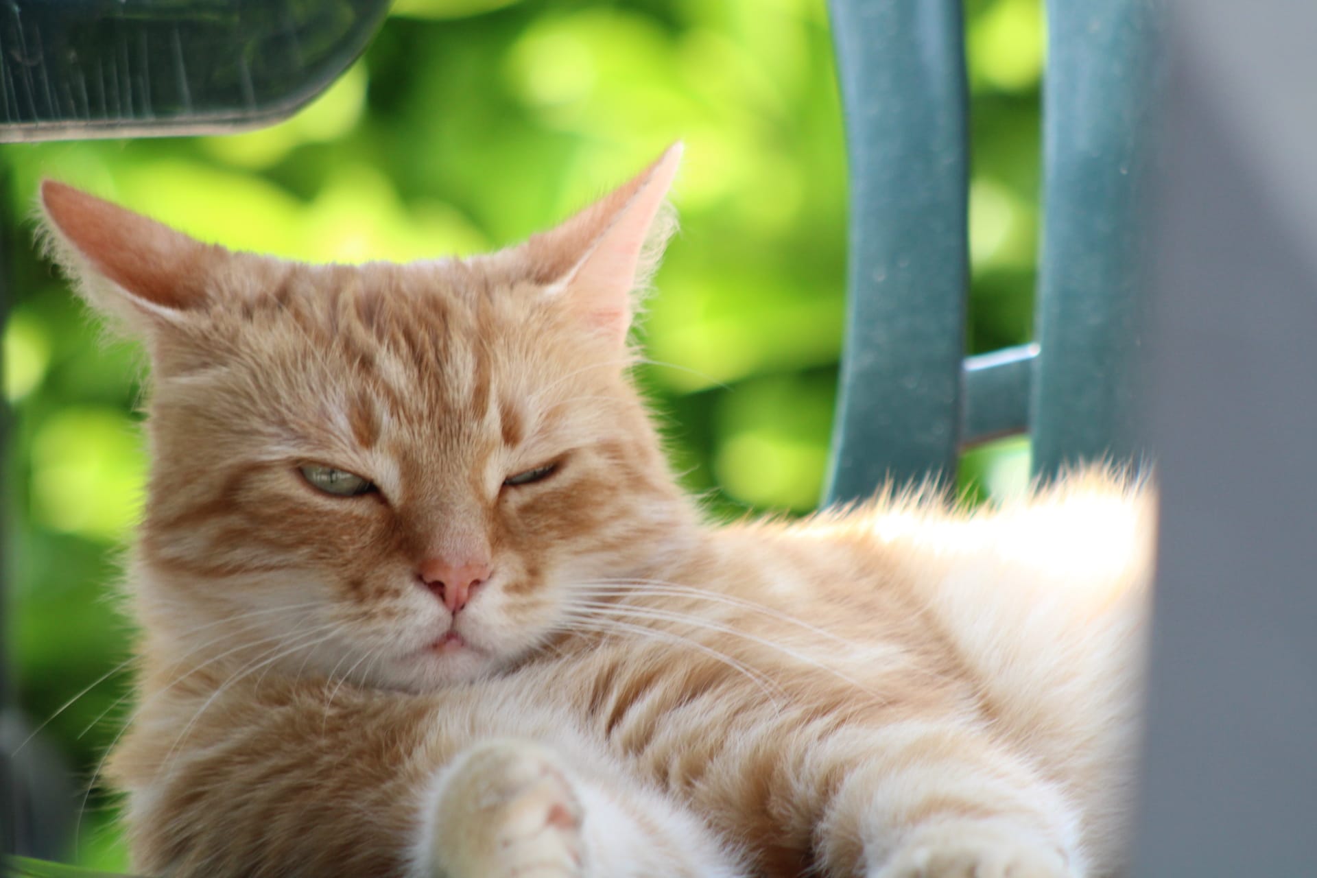Having a good day in the yard